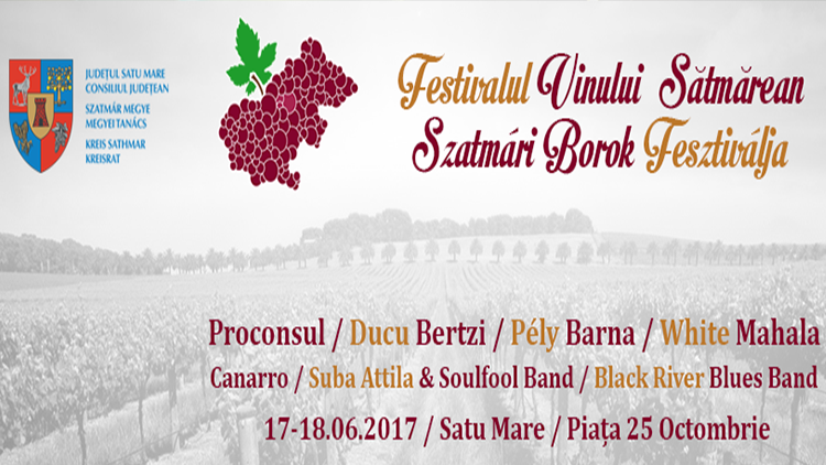 Festivalul Vinului, sâmbătă și duminică, la Satu Mare!